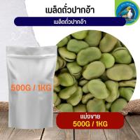 สุดยอด เมล็ดถั่วปากอ้า Broad beans อาหารนก กระต่าย หนู กระต่าย กระรอก ชูก้า และสัตว์ฟันแทะ (แบ่งขาย 500G / 1KG)