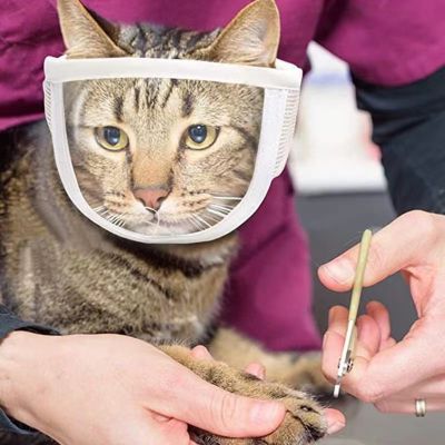 โปร่งใส Cat Muzzle Breathable สุนัขแมวอาบน้ำ Grooming เครื่องมือ Anti Bite Puppy Kitten Muzzles Product