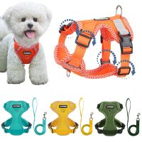 【YF】 4-point Adjustment Dog Harness and Leash Set for Small Dogs Reflective Mesh Vest Puppy Cat Chest Strap Pet Supplies