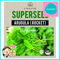 เมล็ดพันธุ์ร็อกเก็ต ชัยโย 880 เมล็ดARUGULA (ORGANIC) (ROCKET) 880 SEEDS **ด่วน สินค้าเหลือไม่เยอะ**