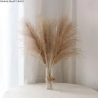 20pcs Dried flowers pampas grass bunch pure natural reed flowers window display wedding decor flower No VAse