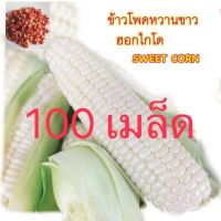 Promotion ข้าวโพดหวาน ฮอกไกโด 100เม็ด 60 พร้อมส่ง พรรณ ไม้ น้ำ พรรณ ไม้ ทุก ชนิด พรรณ ไม้ น้ำ สวยงาม พรรณ ไม้ มงคล