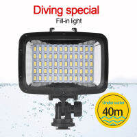 ไฟวิดีโอ LED 60 ชิ้น 16:9 หน้าจอกว้าง 40 ม./130 ฟุตกันน้ำแบบพกพาพร้อม 3 โหมดการดำน้ำใต้น้ำเข้ากันได้กับโทรศัพท์มือถือและกล้องถ่ายรูป