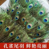 ✟▣ peacock feather vase real 40-110cm decoration