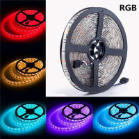 Led Strip Light 5050 300led 5M Waterproof IP65 12V 6500K 4000K 3000K Warm White Pink RGB Red Blue Green Flexible Tape Rope