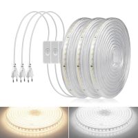 120 Leds/m High Bright LED Strip Light 2835 SMD 110V US Plug 220V EU Plug ในร่มกลางแจ้งโคมไฟตกแต่งห้อง