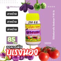 พร้อมส่ง? บุเรงนอง ขนาด 250 ซีซี. อะมิโนพืช+สาหร่าย+ไคโตซาน+น้ำตาลทางด่วน อาหารพืช ใช้ฉีดพ่นทางใบ ฉีดพ่น มะเขือ