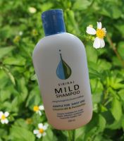 แชมพูศิริราช Mild Shampoo สูตรอ่อนโยน # แก้ปัญหาผมร่วง คันศีรษะ รังแค