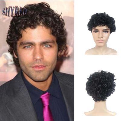 Synthetic Short Curly Black Hair Wigs For Men Boy Costume Cosplay Party Natural  Heat Resistant Fake Hair