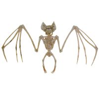 Halloween Bat Skeletons Weather Resistant Yard Decorations for Party Decor and Indoor/Outdoor