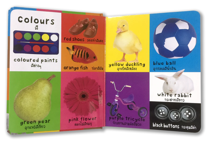 snapx-หนังสือฉีกไม่ขาด-100-คำศัพท์-first-book-first-word-พจนานุกรมภาพสองภาษาสองภาษา-bilingual-สำหรับเด็กเล็ก