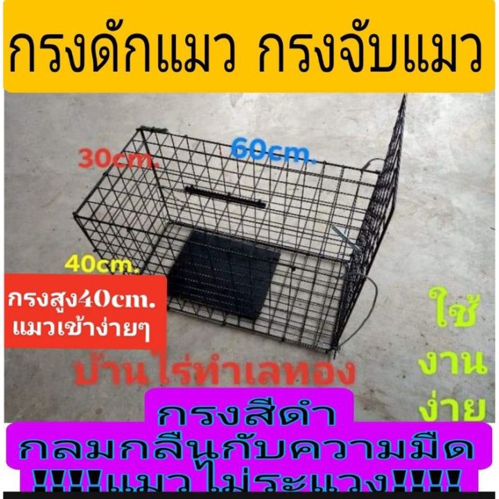 ส่งฟรี-กรงดักแมว-กรงจับลูกสุนัข-กรงดักสัตว์-ใช้ง่ายไม่ต้องประกอบ-สินค้ามีพร้อมส่ง-https-youtu-be-8mwtyy6qagw