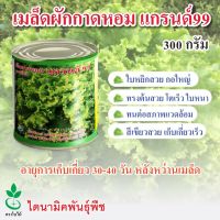 เมล็ดพันธุ์ผักกาดหอม แกรนด์99 ตรา ใบไม้ ขนาด 300 กรัม จำนวน 1 กระป๋อง จาก ไดนามิคพันธุ์พืช Lettuce seeds (Grand 99) 300 grams  from Dynamic Seeds