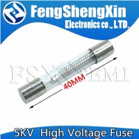 10CS 5KV 650mA 0.65A 0.7A 0.75A 0.8A 0.85A 1A  650mA 700mA 800mA 900mA 600mA 850mA  750MA Microwave Oven High Voltage Fuse WATTY Electronics