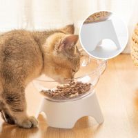 Dog Cats Food Feeding Bowl Detachable Tilted Feeder Raised