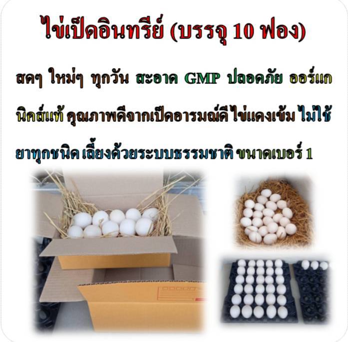 ไข่เป็ดอินทรีย์-บรรจุ-10-ฟอง-อาหารเพื่อสุขภาพ-ผลผลิตคุณภาพจากไร่ภูสวรรค์