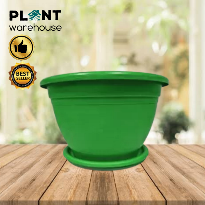 Plant Warehouse PH Plastic Pots for Plants or Flowers with Plate for