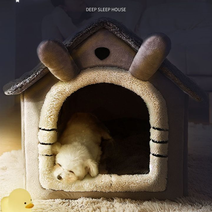 ชิวาวาบ้านฤดูหนาว-pets-baby