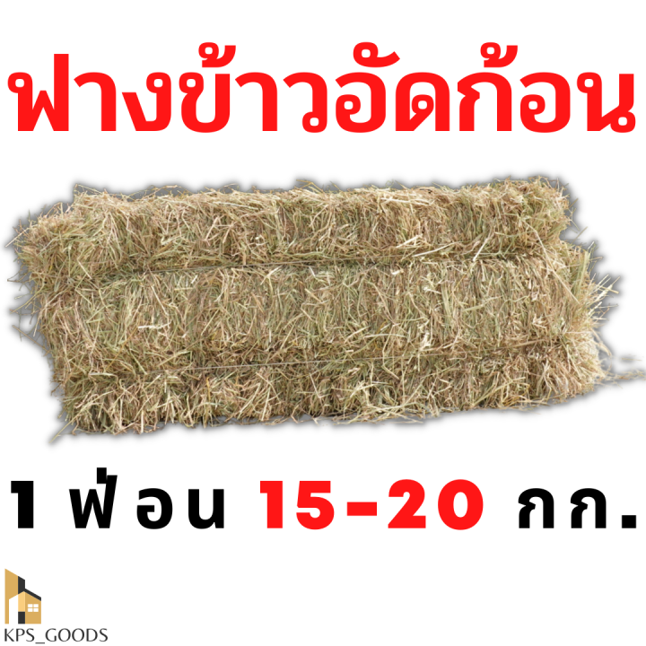 ฟาง-ฟางอัดก้อน-ฟางข้าว-1-กิโลกรัม-9-บาท-ส่งจากนครปฐม-ราคาหน้าสวน-สวนมาเอง-ไม่ชื้น-ไม่เก่า-ไม่ขึ้นรา-ค่าส่งไม่แพง