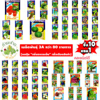 [ซื้อ 10แถม1] เมล็ดพันธุ์ผัก3A 15-25฿ ผักสวนครัว ต้นหอมญี่ปุ่น ใบงาเกาหลี ใบบัวบก กุ้ยช่าย สะระแหน่ พริกหวาน แครอท ผักบุ้งแก้ว แรดิช ซูกินี