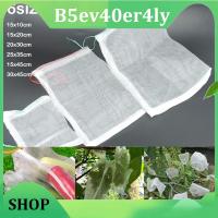 B5ev40er4ly Shop B5ev40er4ly Shop B5ev40er4ly Shop 15cm 45cm Grape Fruit Netting net mesh protect cover grow bags Garden Protection for veg Storage Against Bug Insect Pest Bird