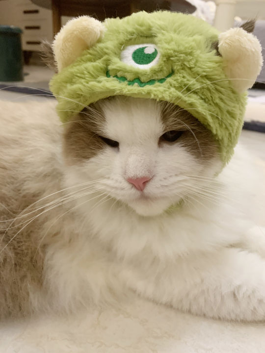 หมวกแมว-สีเขียว-aliens-สีชมพู-lotso-bear-สีฟ้า-sully-สีเขียว-mike-หมวกสุนัข-ลายการ์ตูน-นุ่มนิ่ม-แฟชั่นสัตว์เลี้ยง