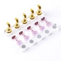 5pcs Chess Board Magnetic Tips Nail Art Practice Display Stand Gold Silver Pink Practice Holder Set Polish Gel Color Chart Tool