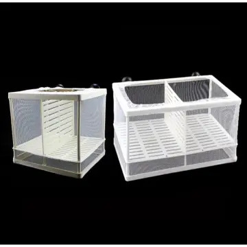 Shop Fish Tank Incubator Breeding Box online - Jan 2024