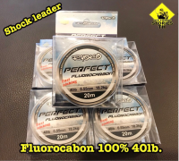 Shock leader Fluorocanbon 100%