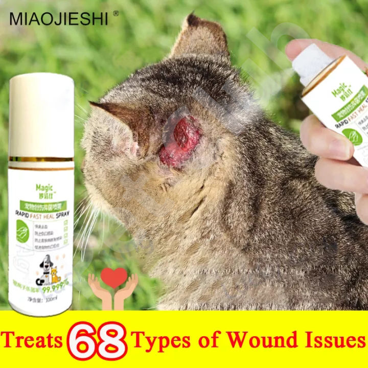 【Safe not afraid to lick】Magic® ubat kutu kucing ubat cacing kucing