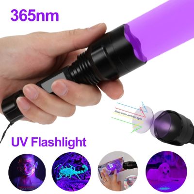 Mini UV LED Flashlight Portable Ultraviolet Light 395/365nm 3 Modes USB Rechargeable Zoomable Torch Lamp Scorpion Detector Rechargeable Flashlights