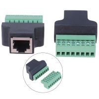 1ชิ้น Rj45ตัวเมียถึง8พินตัวเชื่อมต่อ Rj45แยกสำหรับ Cctv Dvr อุปกรณ์เสริม Cctv Rj45กับสกรูอะแดปเตอร์ขั้วต่อคุณภาพสูง