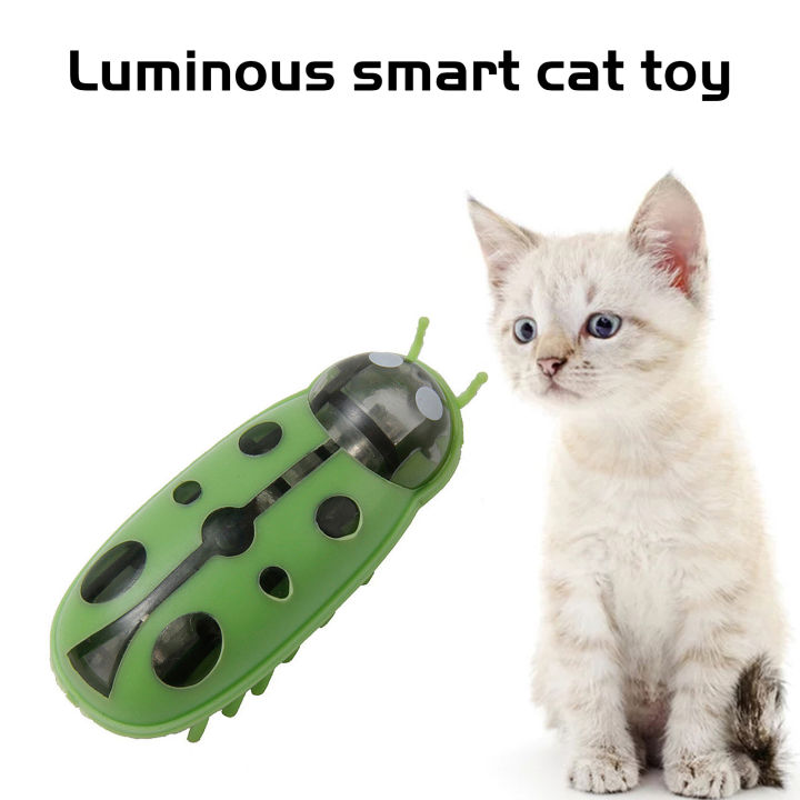 ของเล่นรูปแมลงนาโนเหยื่อแมวไฟฟ้า-relief-ของเล่นหยอกแมวเบื่อของเล่นตัวเองเหมาะสำหรับอุปกรณ์เลี้ยงแมว