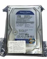 【พร้อมส่ง】WD BLUE 1.0TB / 2.0TB Desktop HDD 7200RPM SATA 6Gb/s PC HA500 ฮาร์ดดิส แท้100%