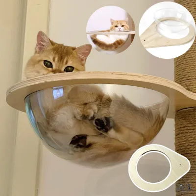 【Yohei】โดมอะคริลิคแมว หลุมอวกาศแมว หลุมแมว