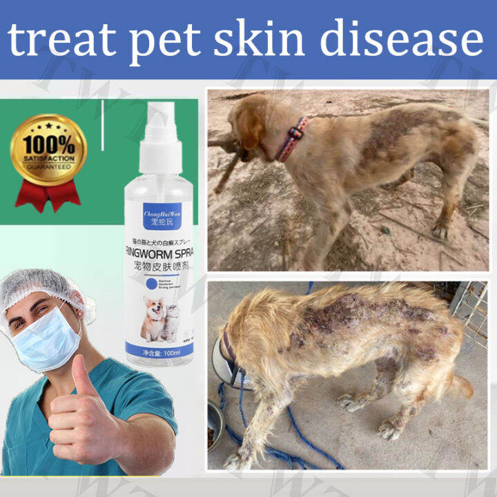 Antifungal Spray For Dog Pets Antimicrobial Spray Anti Galis For Dog ...