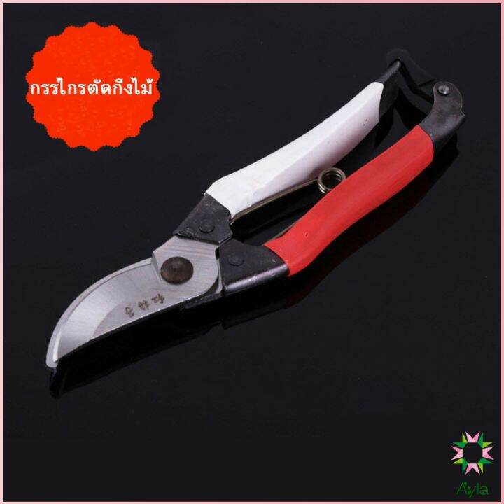 ayla-กรรไกรตัดกิ่งไม้-กรรไกรตัดดอก-อุปกรณ์ทำสวน-pruning-shears