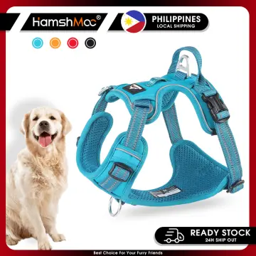 Dog clearance harness lazada