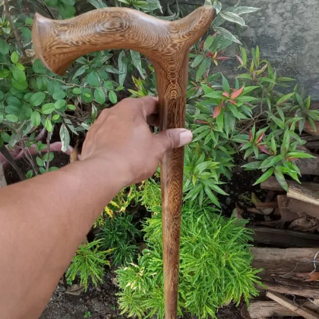 tongkat jalan kayu kelor Jawa johar Lazada Indonesia