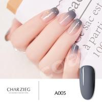 CHAR ZIEG gel polish ยาทาเล็บเจล สีเจล สียาทาเล็บเจล เนื้อสีแน่น ติดทนนาน 15 ml. รหัส 005(สีเจลต้องอบด้วยเครื่องUV/LEDเท่านั้น ไม่สามารถแห้งเองได้)