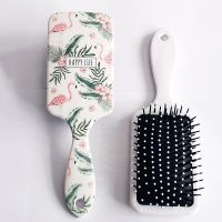 【BEIBEI】 ?Cute Massage Comb Hair Brush Anti-static Detangle Comb