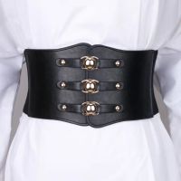 11cm Elastic Wide Corset Belts For Women Waist Plus Size Belt Female Dress Waistband Big Stretch Cummerbunds Clothes Accessory