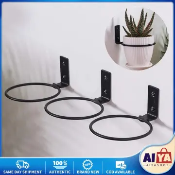 Shop Holder Wall Mounted Plant with great discounts and prices online - Jan  2024