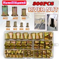 ✓◊ 300Pcs Rivet Nuts Carbon Steel M3-M12 Flat Head Riveting Nut Set Hardware Insert Nutsert Kit