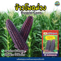 เมล็ดข้าวโพดม่วง Purple Corn ตราภูเขาทอง เมล็ดพันธุ์ข้าวโพดม่วง เมล็ดข้าวโพดสีม่วง เมล็ดข้าวโพด เมล็ดข้าวโพด เมล็ดพันธุ์ข้าวโพด