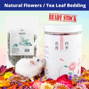 Flower and plant bedding hamster deodorizing bedding golden bear nest  landscaping supplies edible dried flowers summer