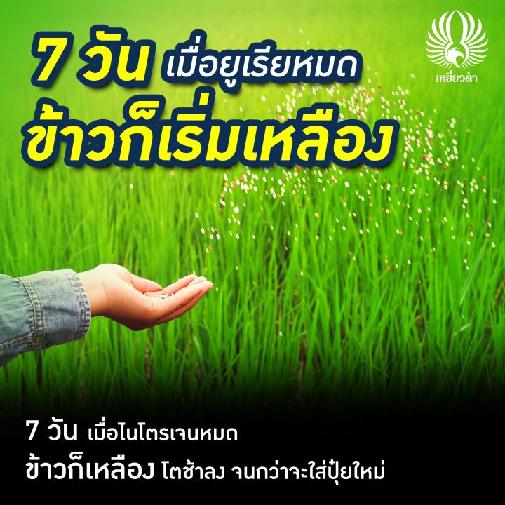 โพลิเมอร์-อาร์-5-กก-สารเพิ่มประสิทธิภาพปุ๋ย-ตราเหยี่ยวดำ-เคลือบปุ๋ยให้อยู่นานขึ้น-ใส่ปุ๋ยสูตรน้อยลง-เพิ่มผลผลิต