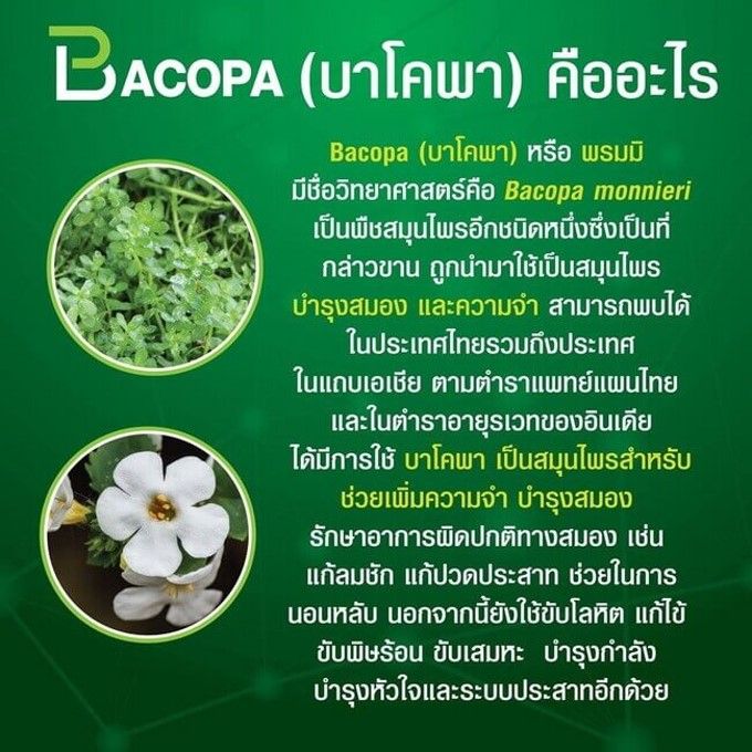 กิฟฟารีน-บาโคพา-สารสกัดจากพรมมิ-ผสมวิตามินซี-วิตามินบี-12-และวิตามินบี-6-ชนิดแคปซูล-giffarine-bacopa