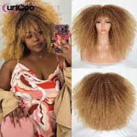 Short Hair Afro Kinky Curly Wig With Bangs For Black Women African Synthetic Ombre Glueless Blonde Red Cosplay Highlight Wigs [ Hot sell ] TOY CENTER