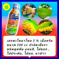 กำจัดเชื้อรา เฮกซะโคนาโซล 5% 100 ซีซี ใบจุด โรคใบไหม้ บอนสี ใบจุดกล้วยไม้ ทุเรียน ใบติด กาบใบแห้ง เมล็ดด่างข้าว ดอกไหม้ ยาเย็น เนื้อครีม